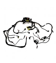 Wiring harness 21910107